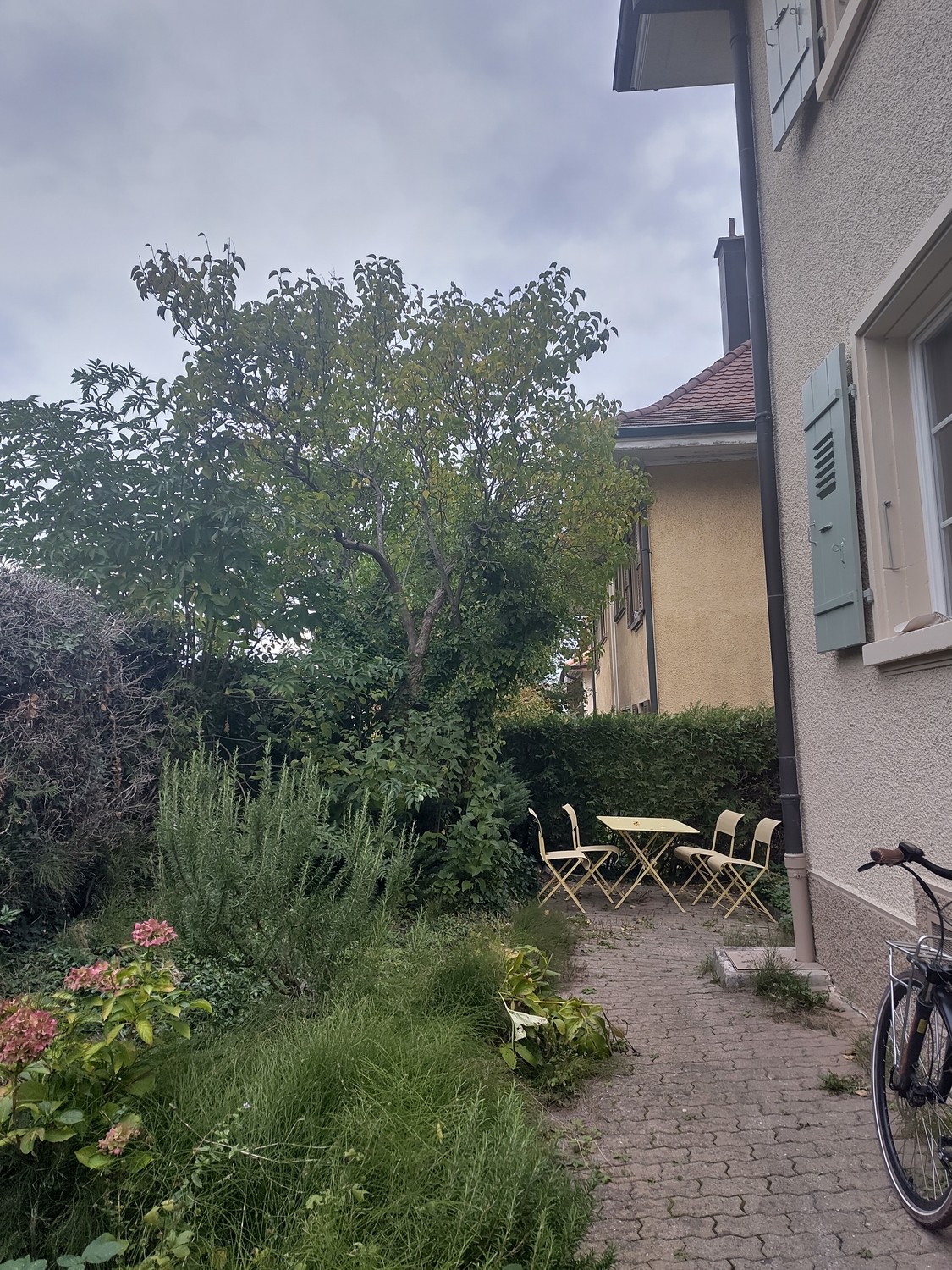 3 ½ Zimmer Wohnung