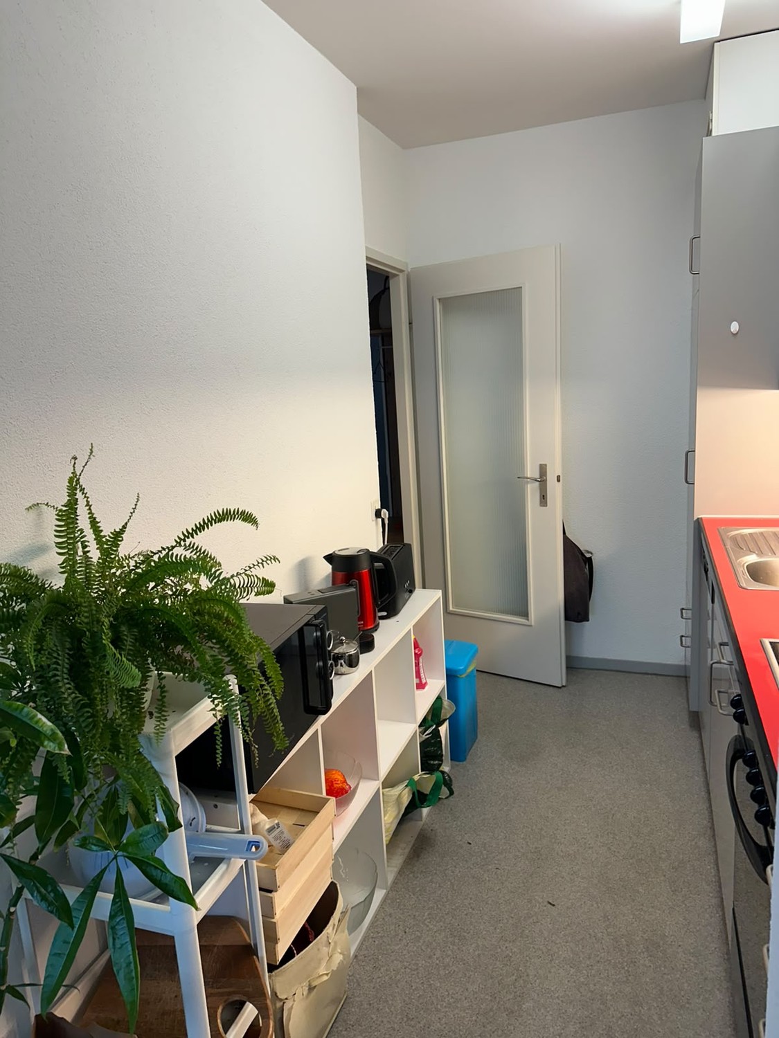 Room in a shared flat