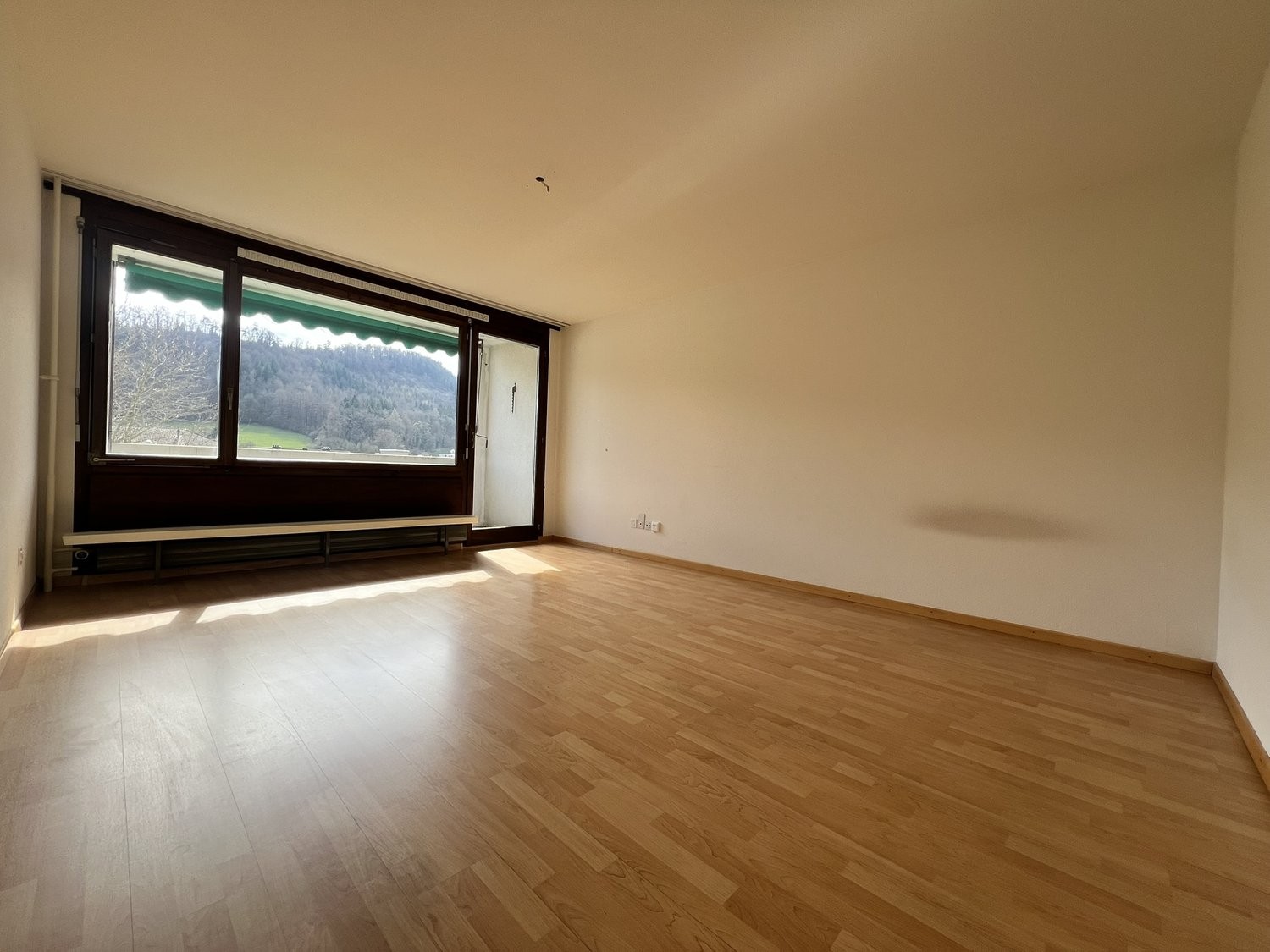 appartement 1 pièce