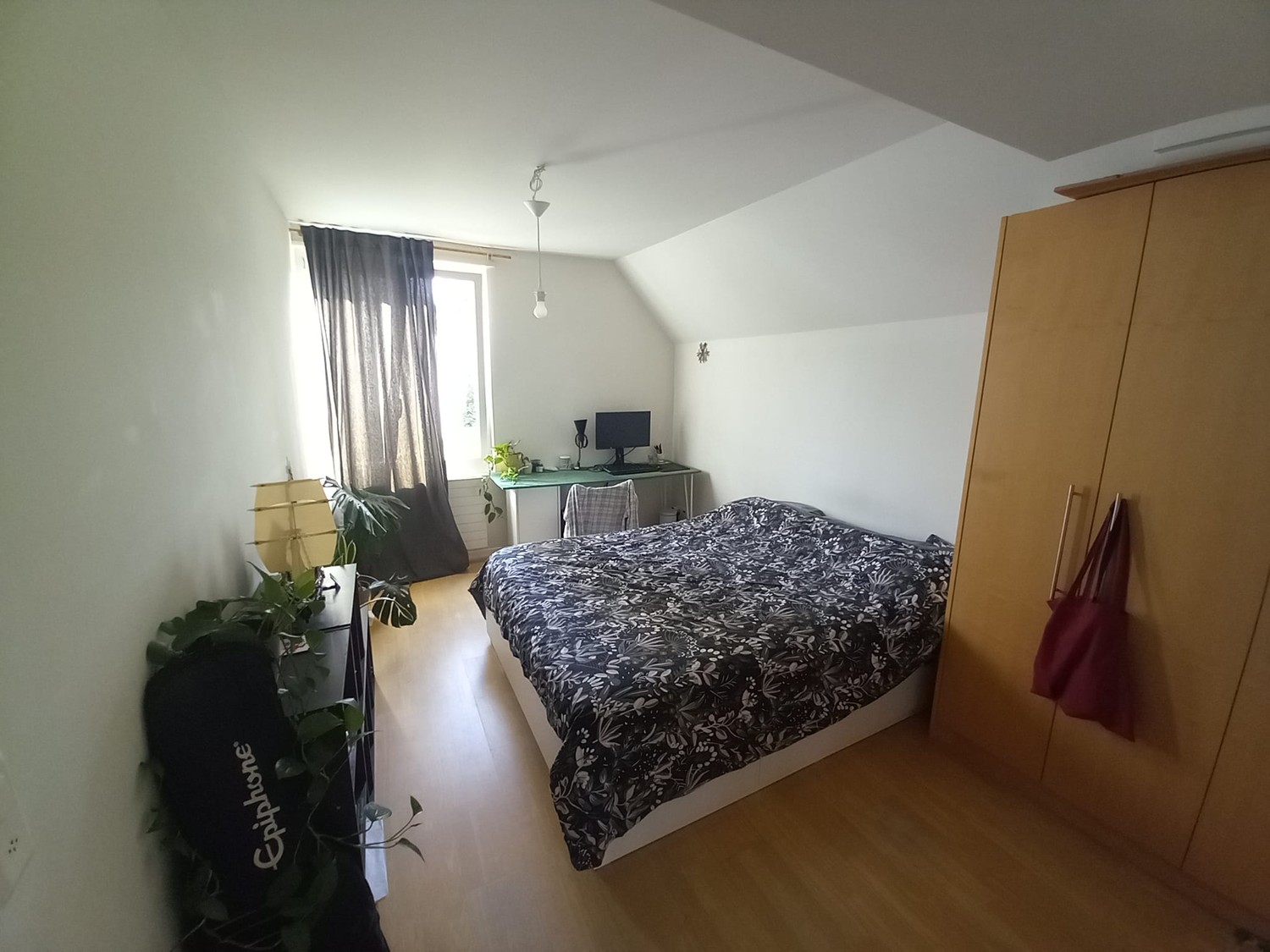 Room in a shared flat