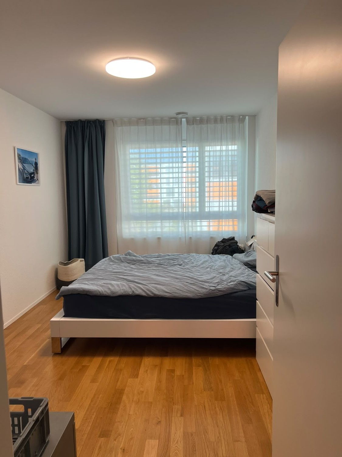 Room in a shared flat