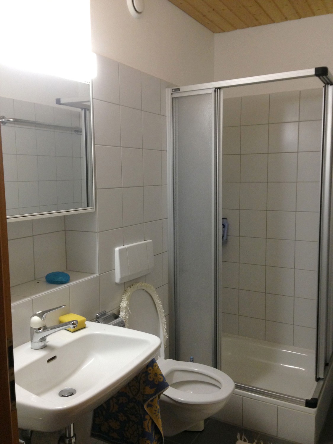3 ½ rooms single house