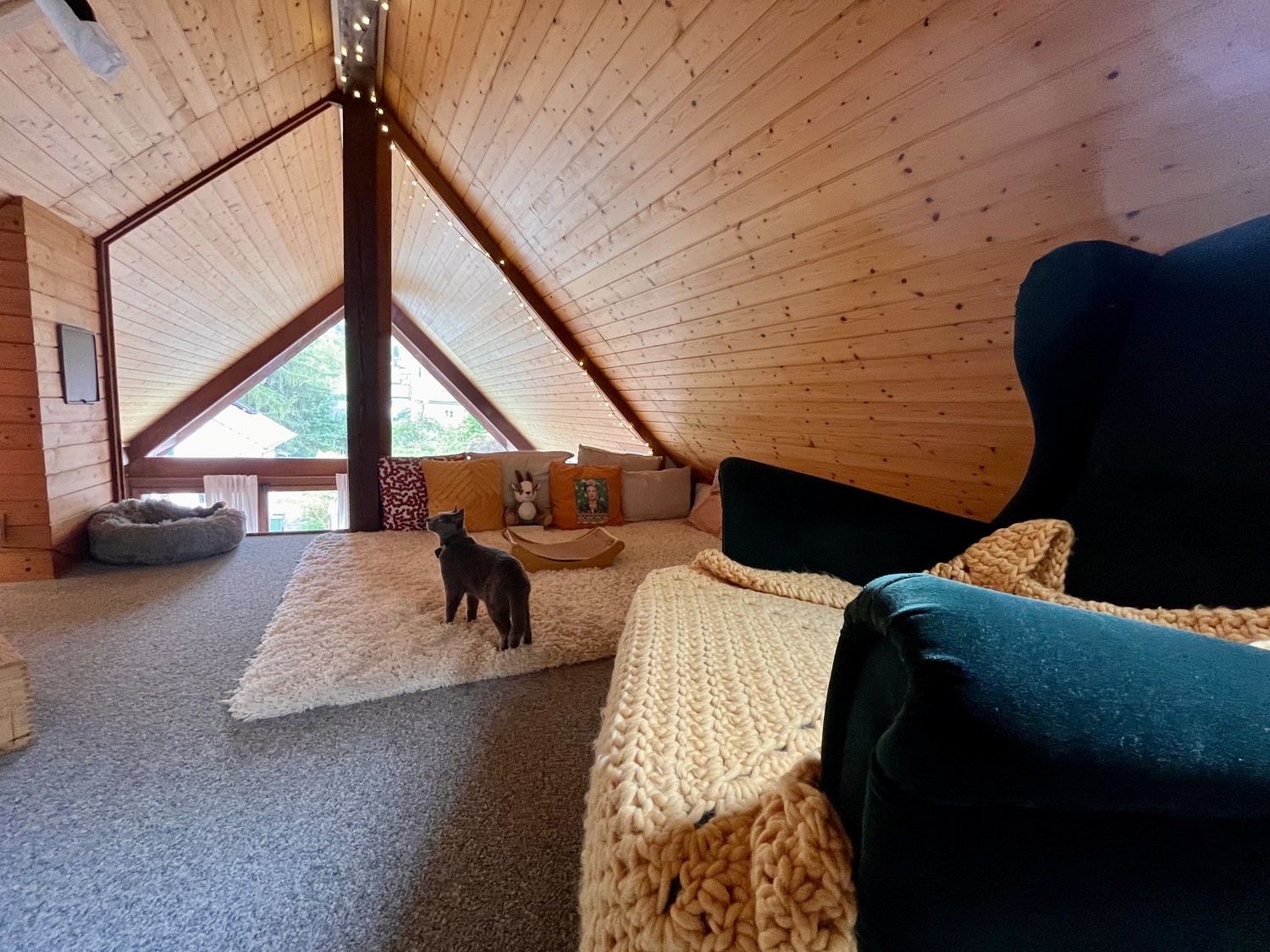 Appartement de 2 ½ pièces