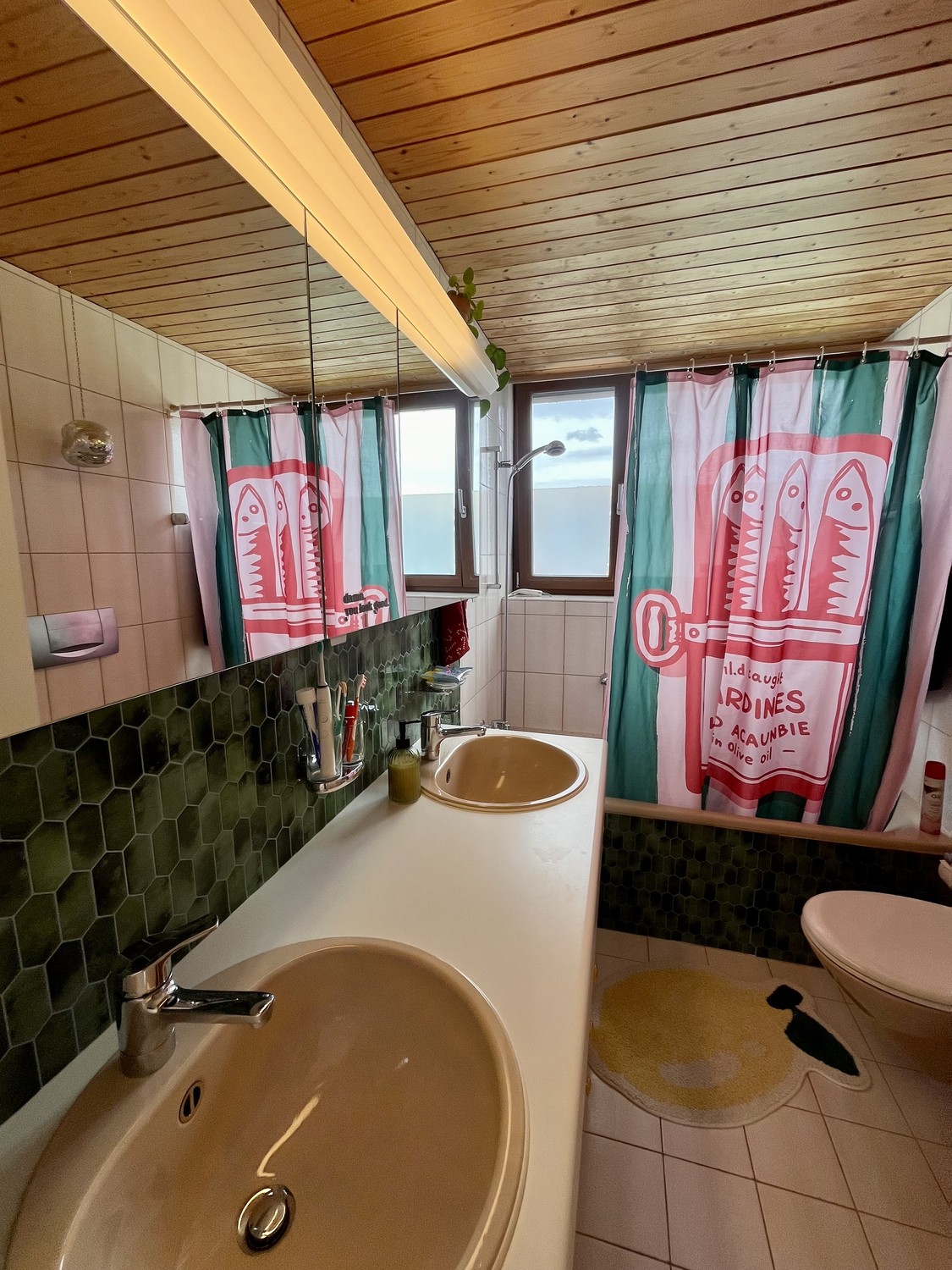 Appartement de 2 ½ pièces