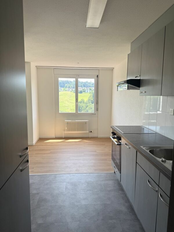 4 ½ rooms apartment