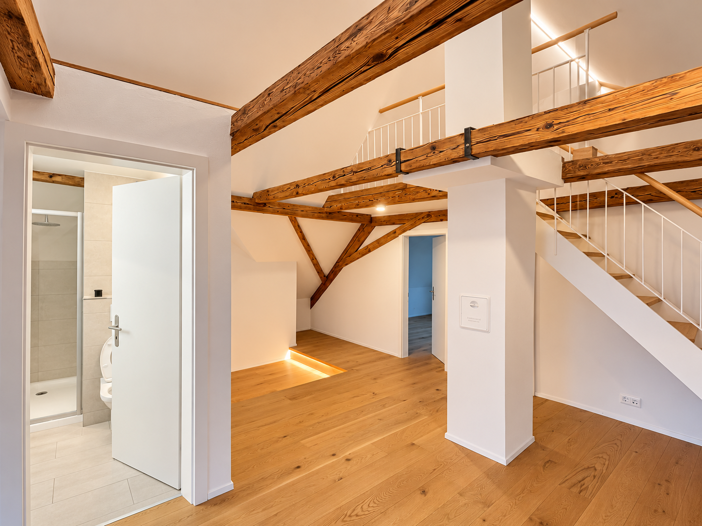 Duplex de 2 ½ pièces