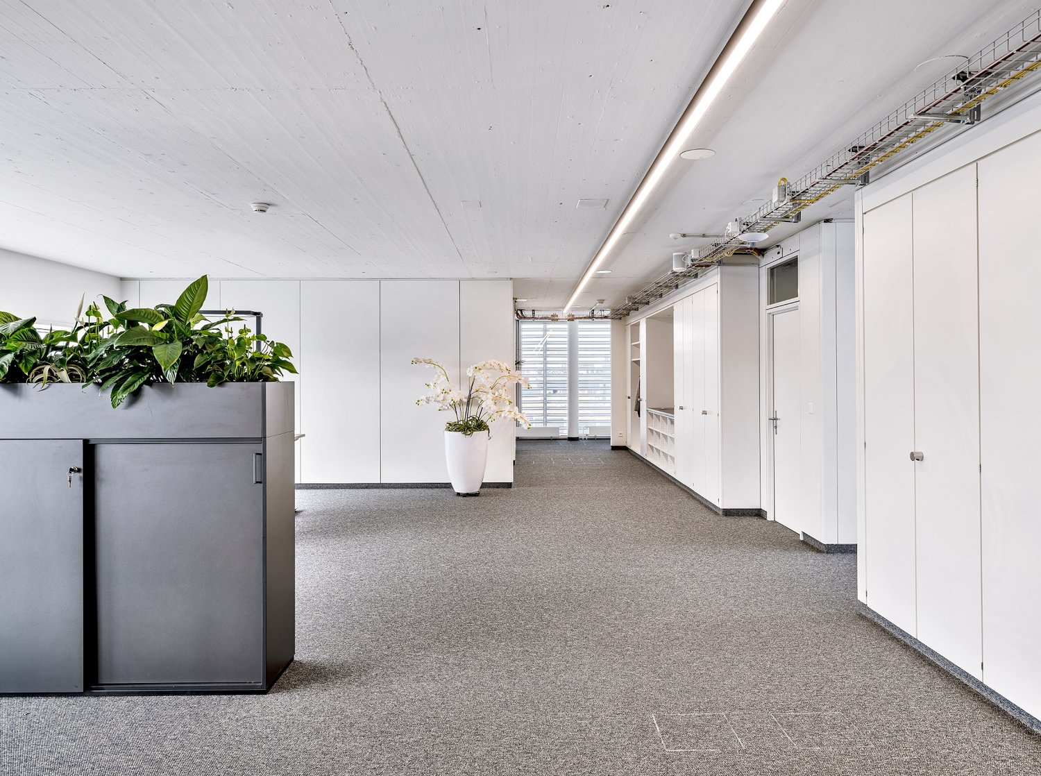 466m² ufficio