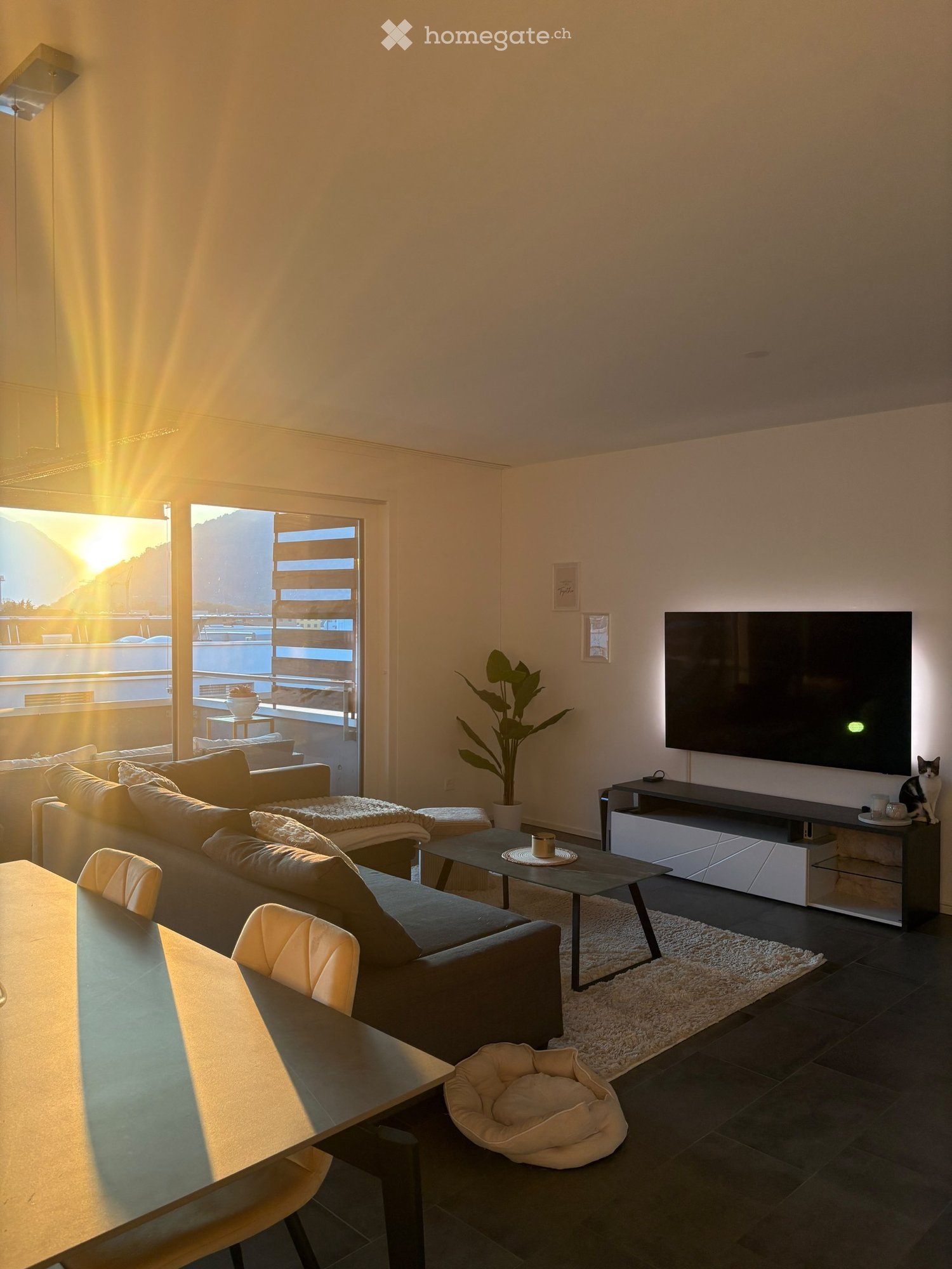 2 ½ rooms apartment