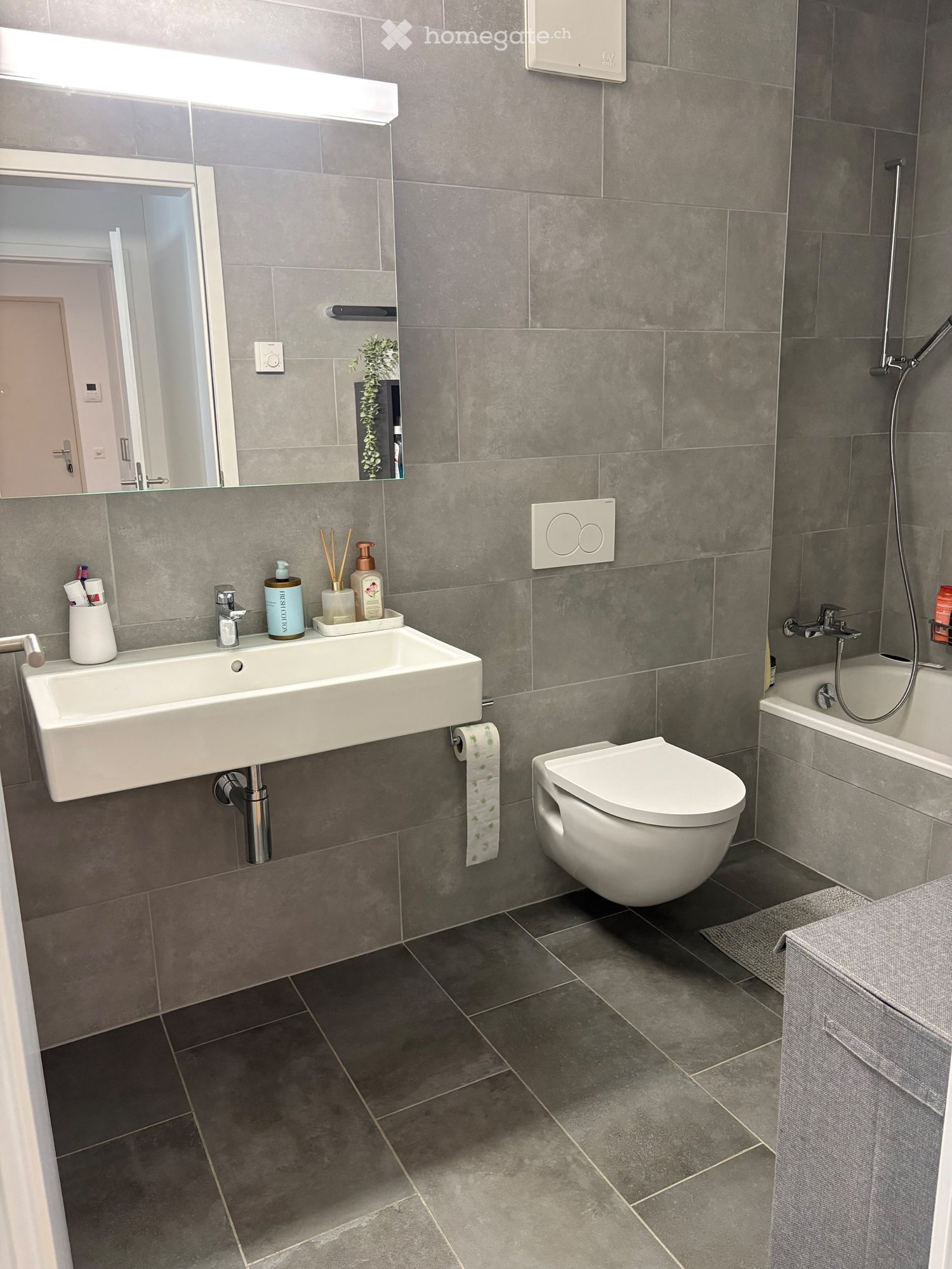2 ½ rooms apartment
