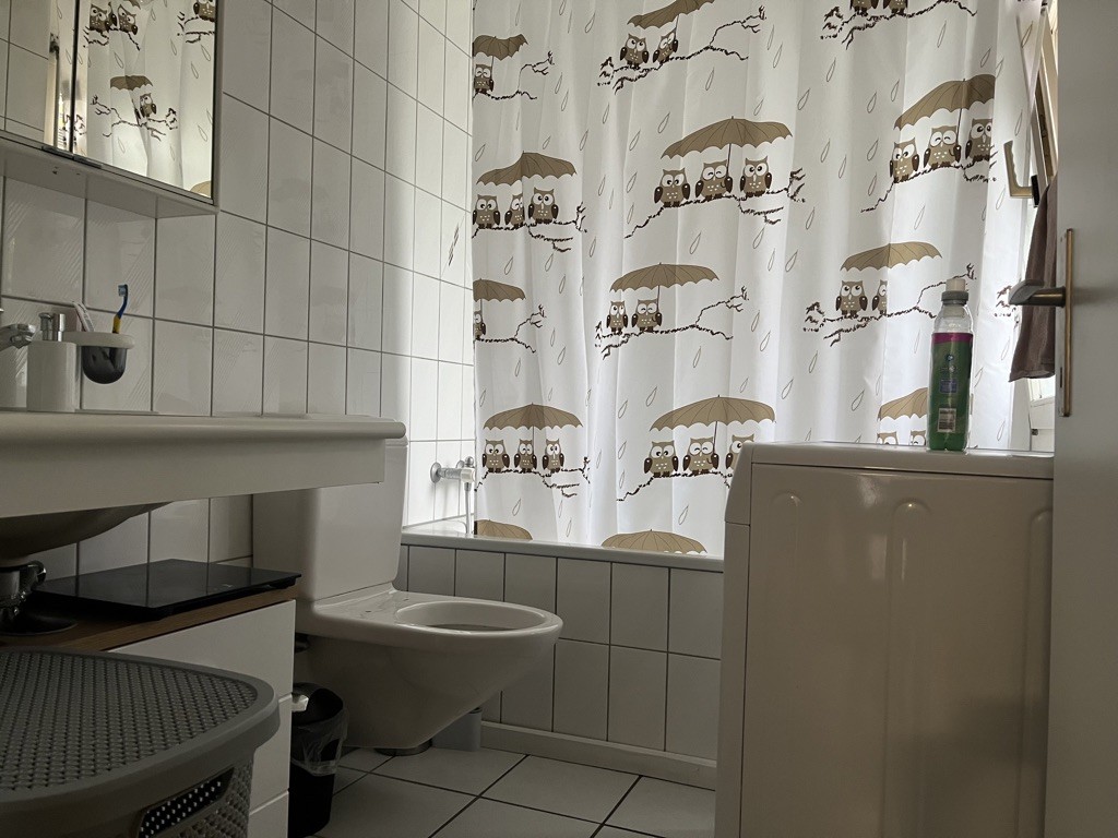 4 ½ rooms apartment, Foto 5 von 5