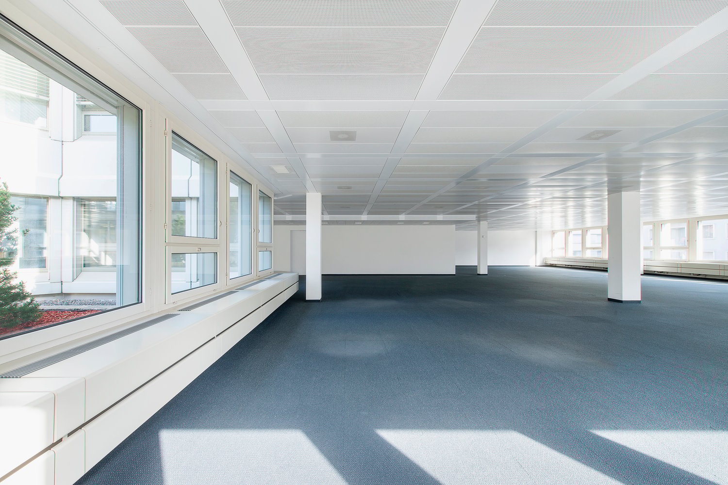 350m² office, Foto 6 von 6