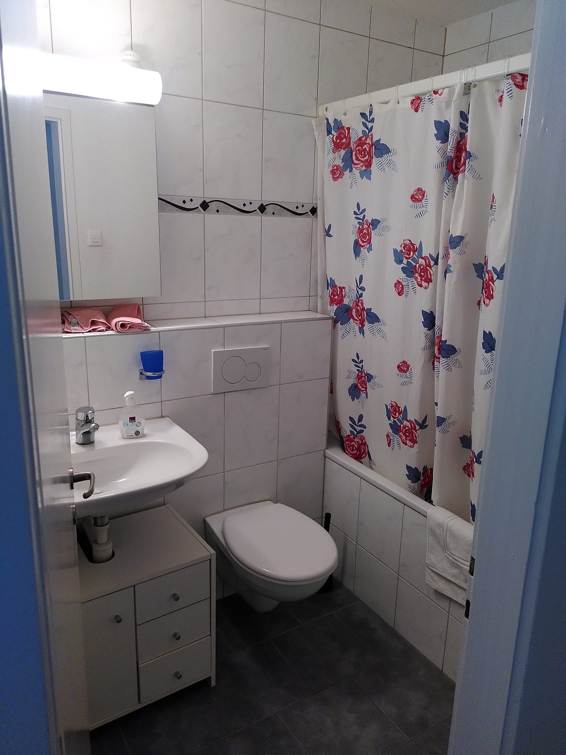Room in a shared flat