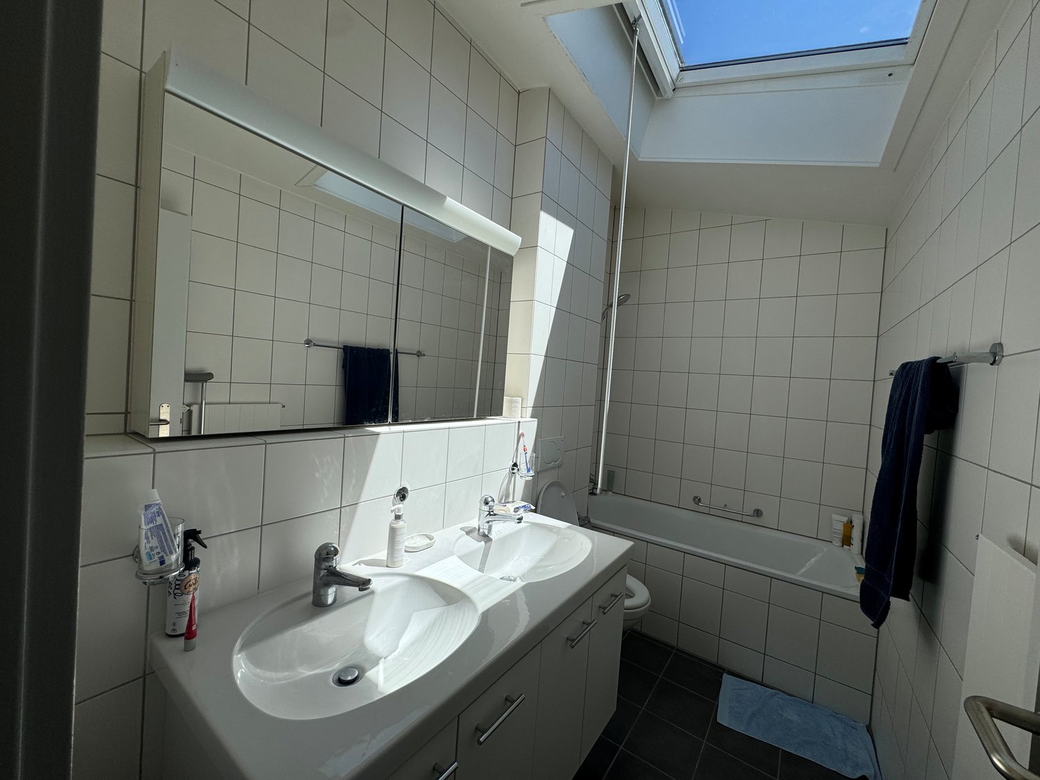 2 ½ Zimmer-Wohnung