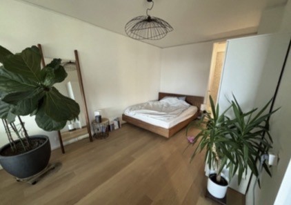 2 ½ Zimmer Wohnung, Foto 4 von 4