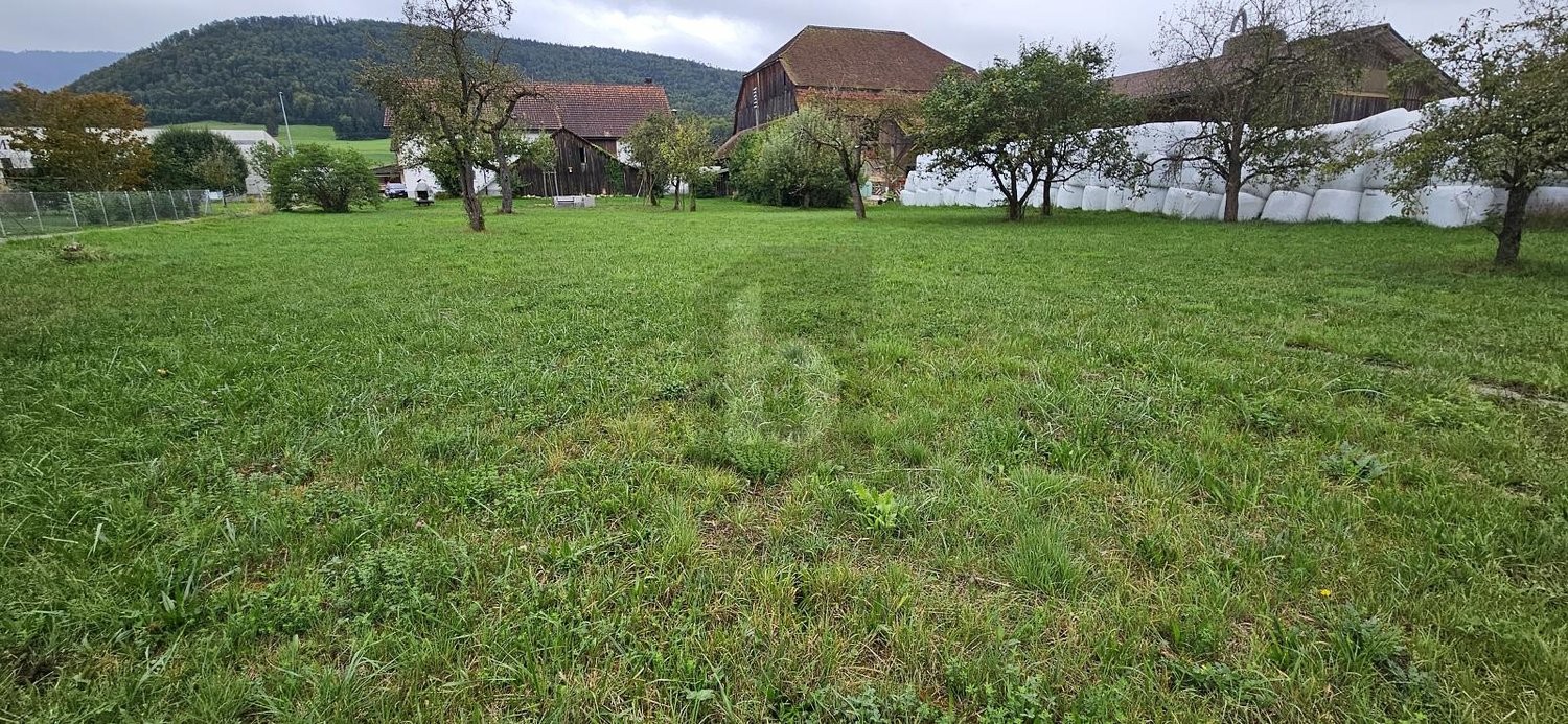 2098m² building land