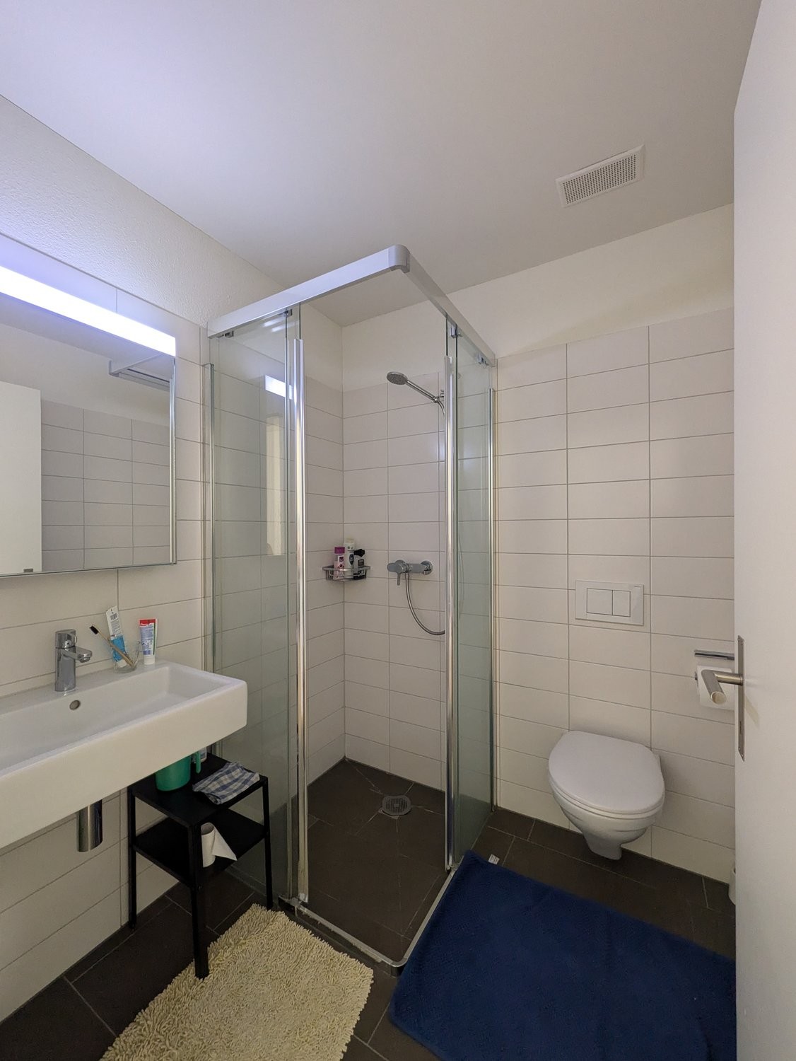 3 ½ rooms furnished flat, Foto 6 von 8
