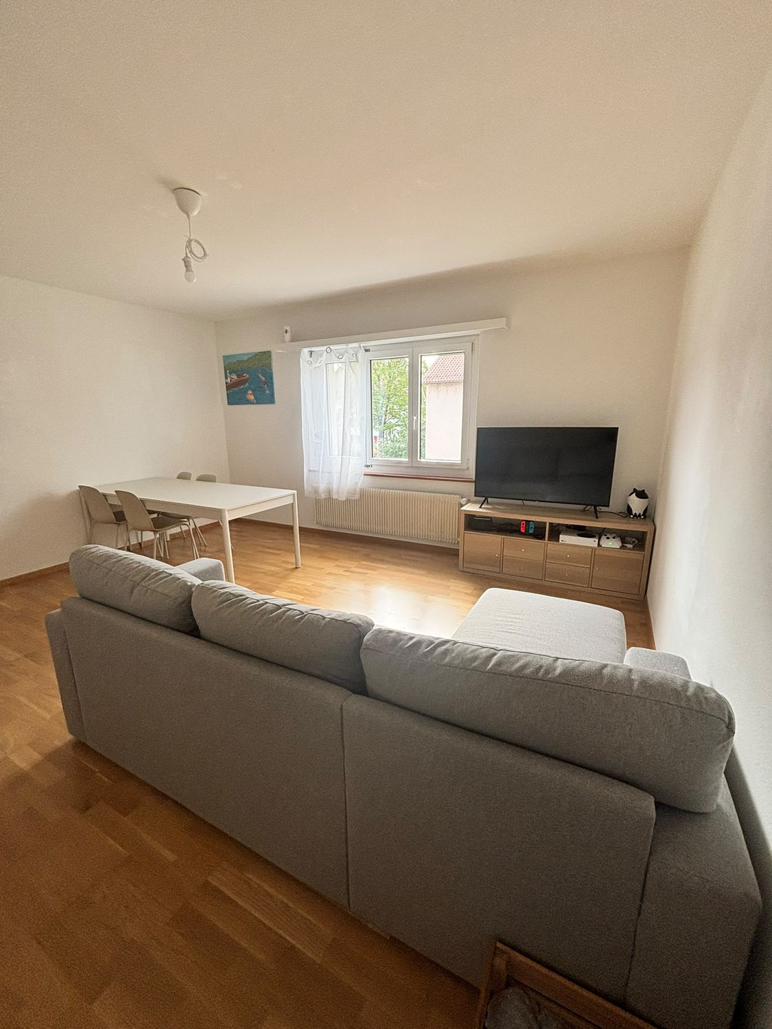 3 ½ Zimmer-Wohnung