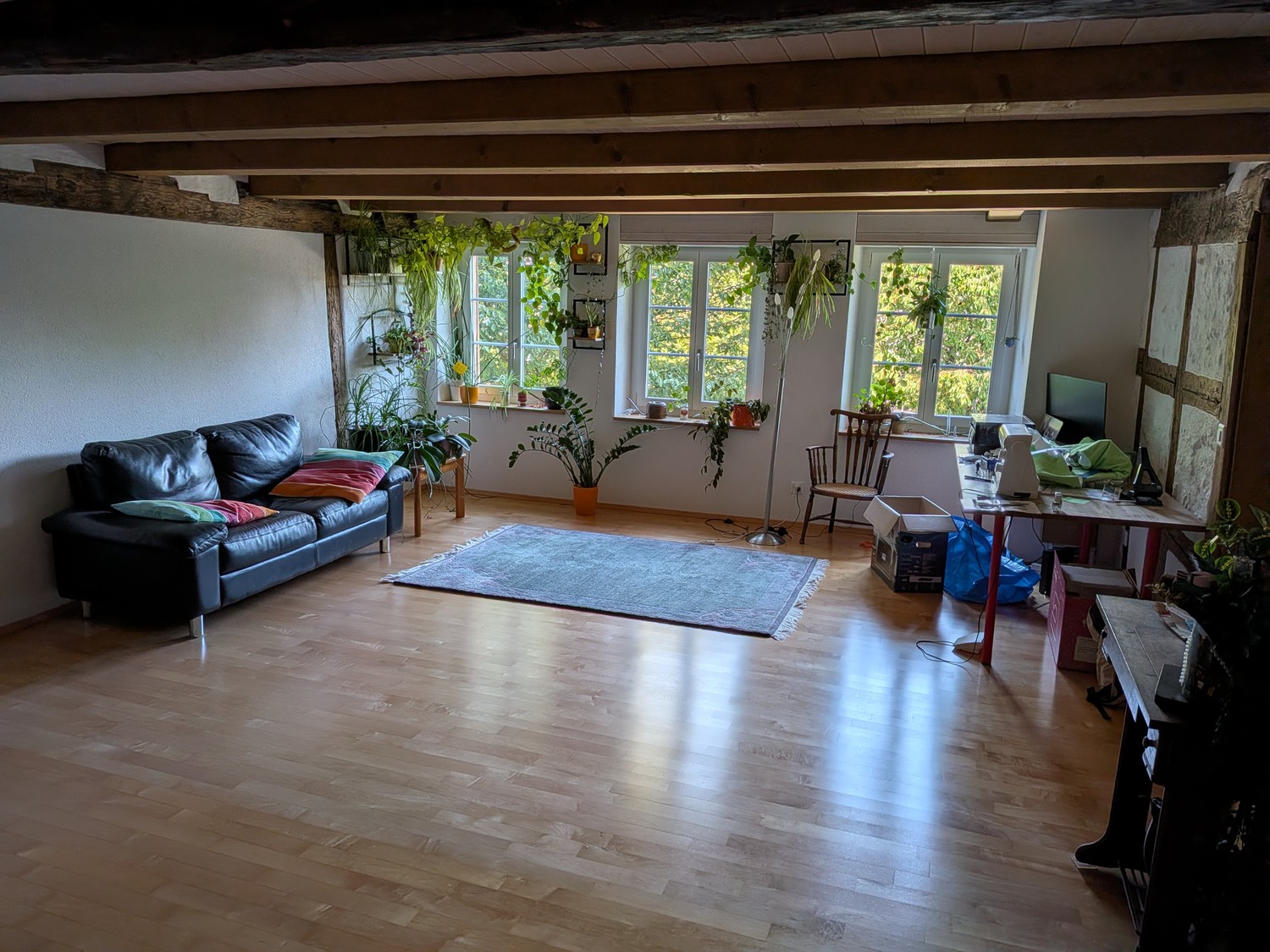 Room in a shared flat