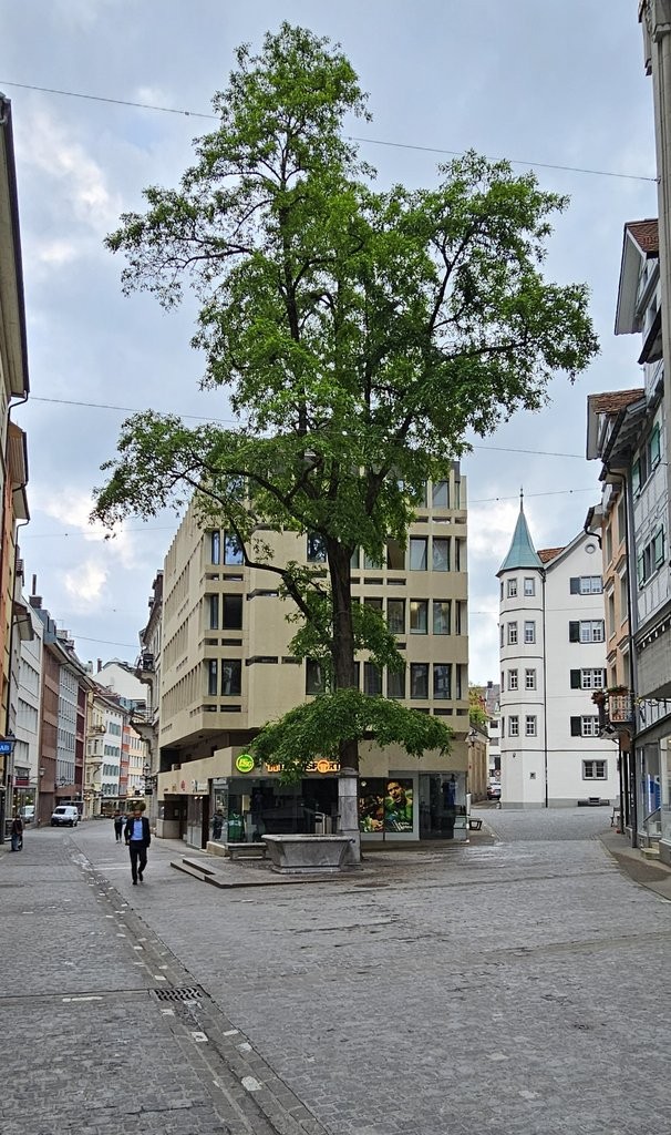 60m² office, Foto 6 von 6