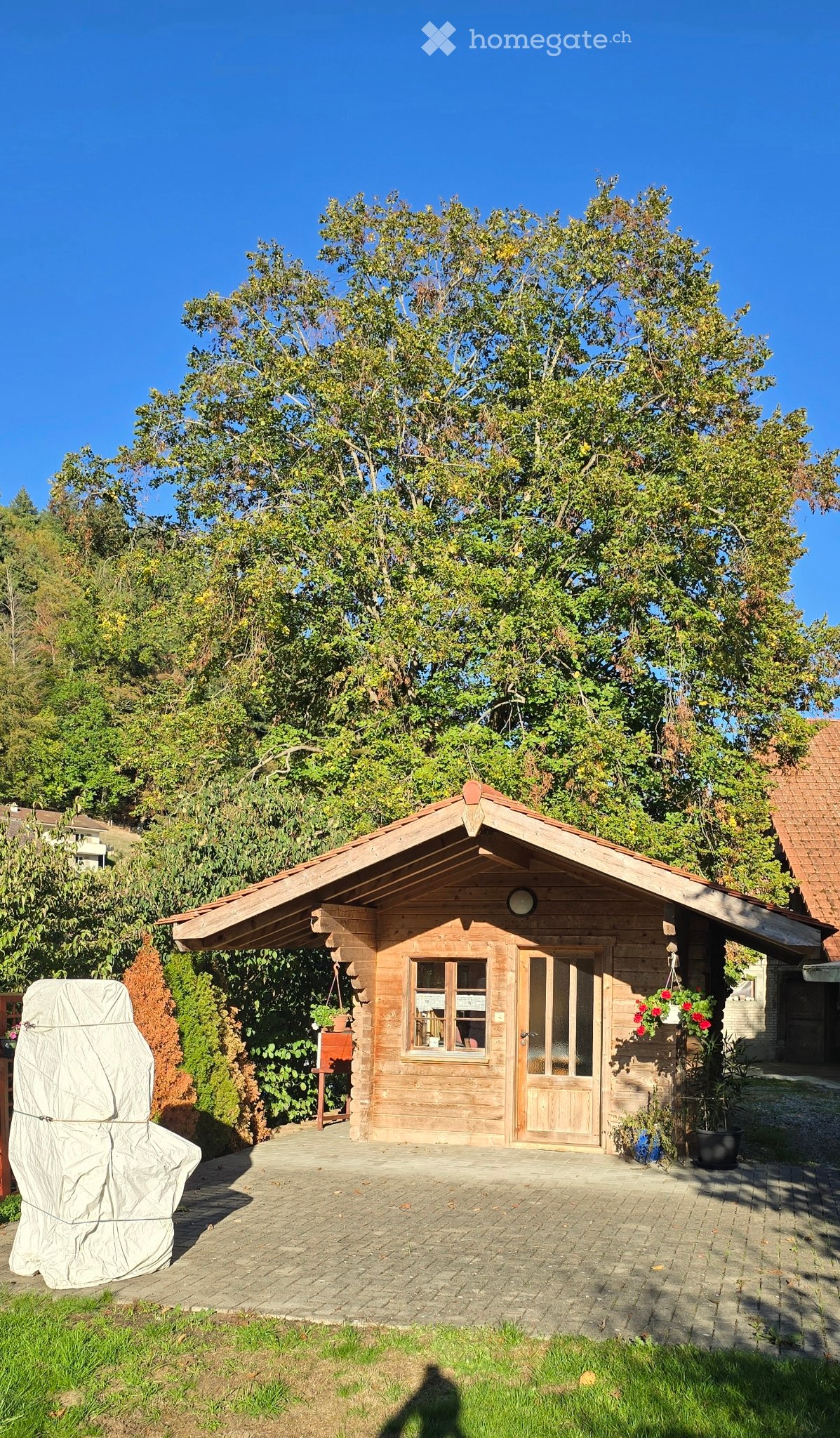 appartamento di 4 ½ locali
