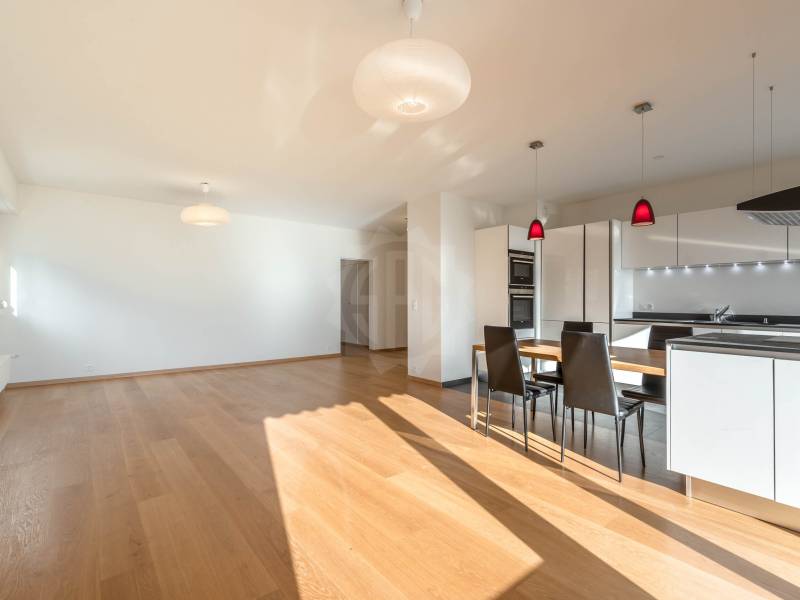 5 ½ rooms apartment