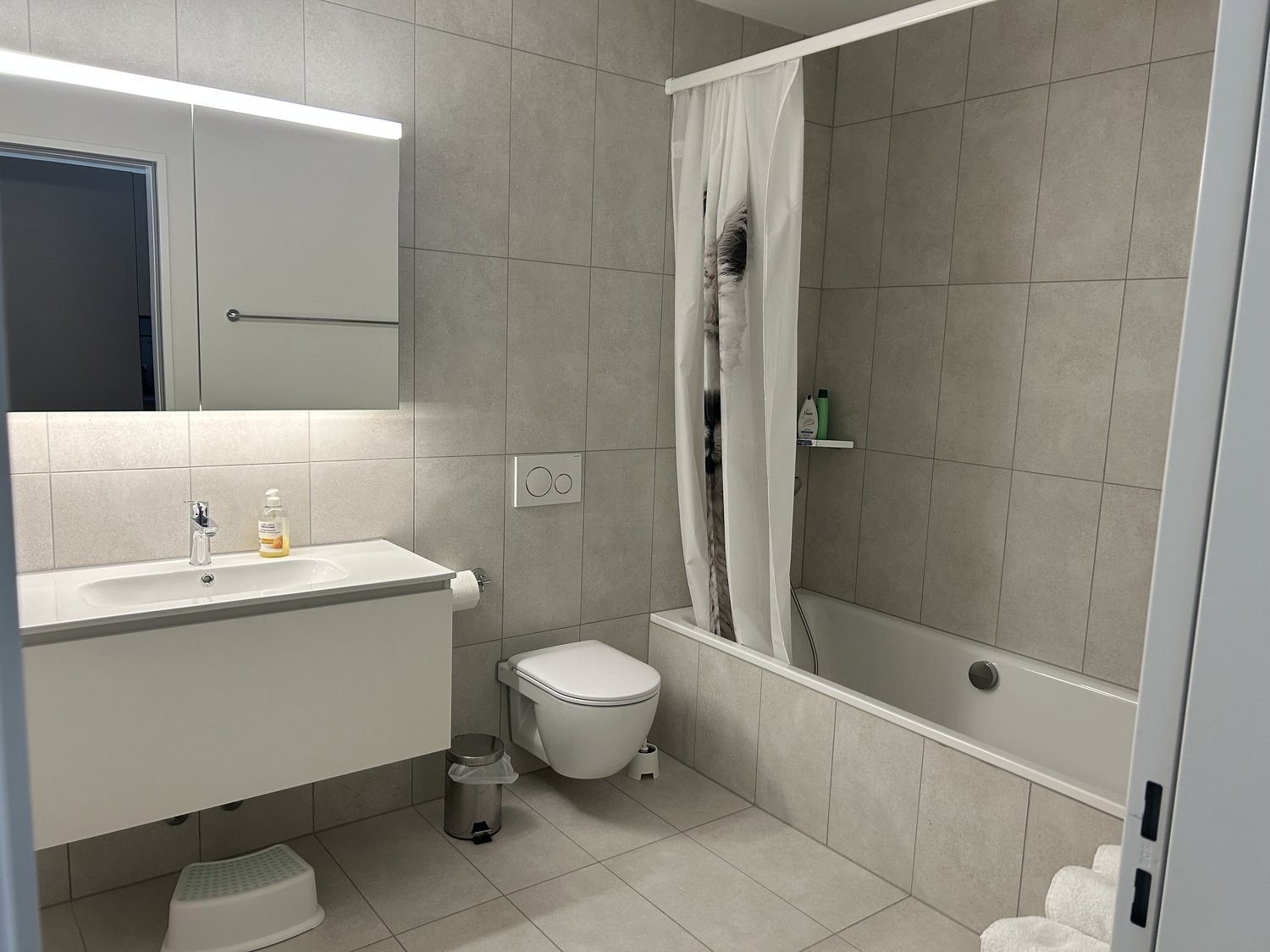 3 ½ rooms furnished flat, Foto 3 von 9