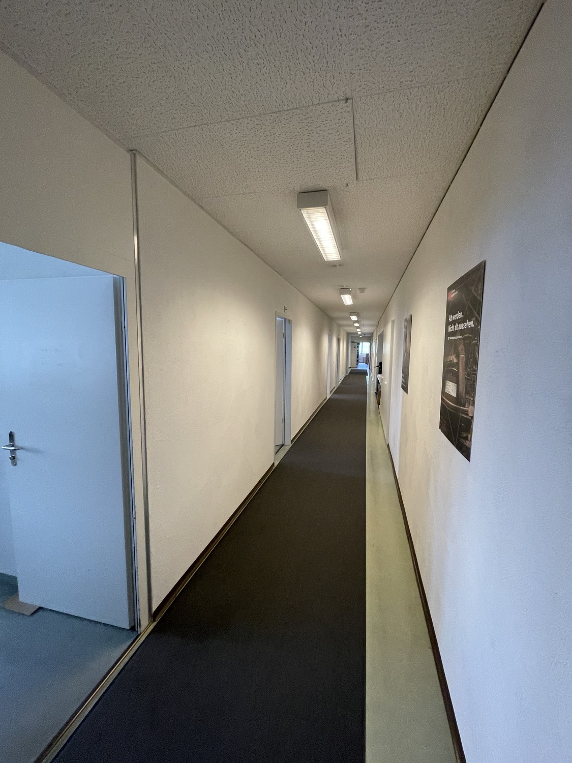 300-1240m² commercial, Foto 4 von 10