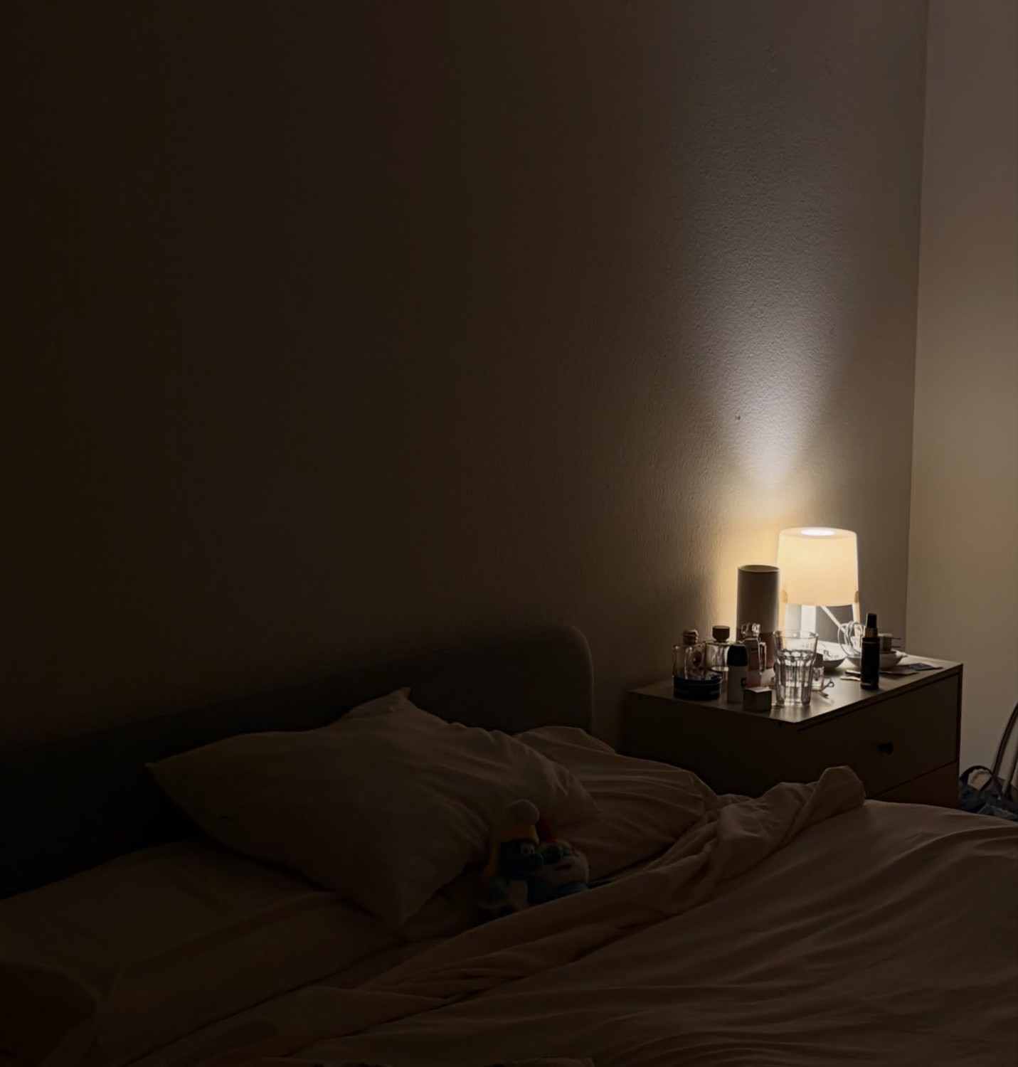 Stanza in un appartamento condiviso