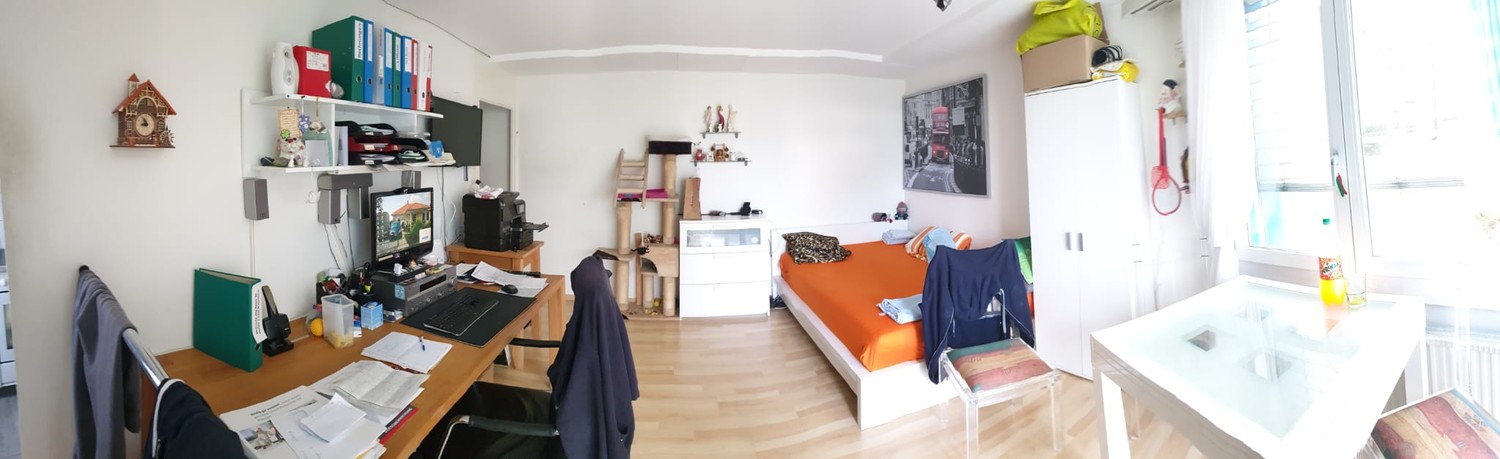 1 room apartment