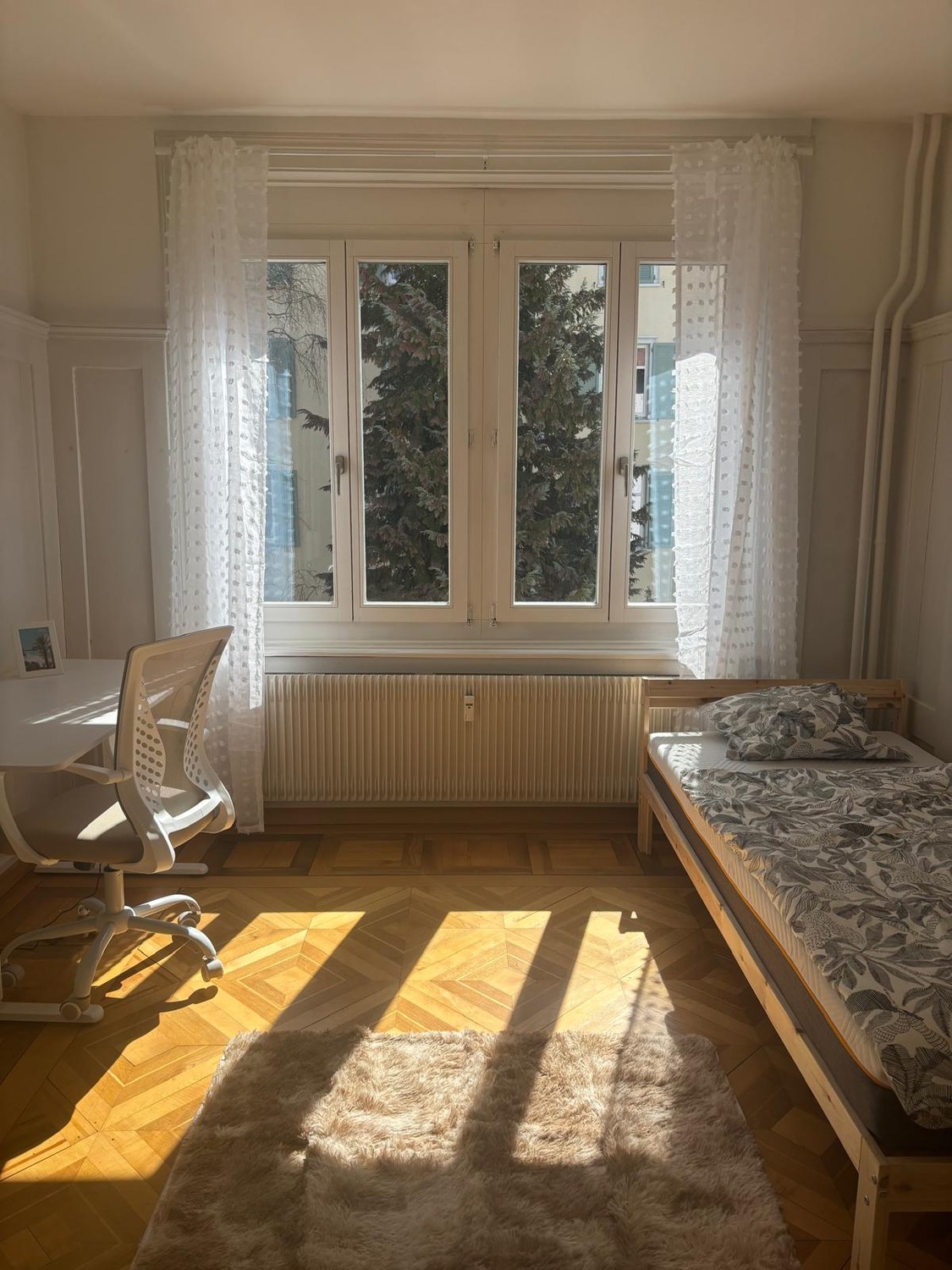 Room in a shared flat