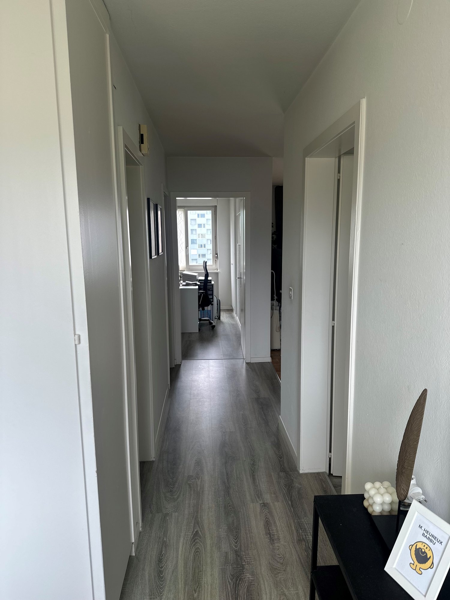 Appartamento di 3 ½ locali