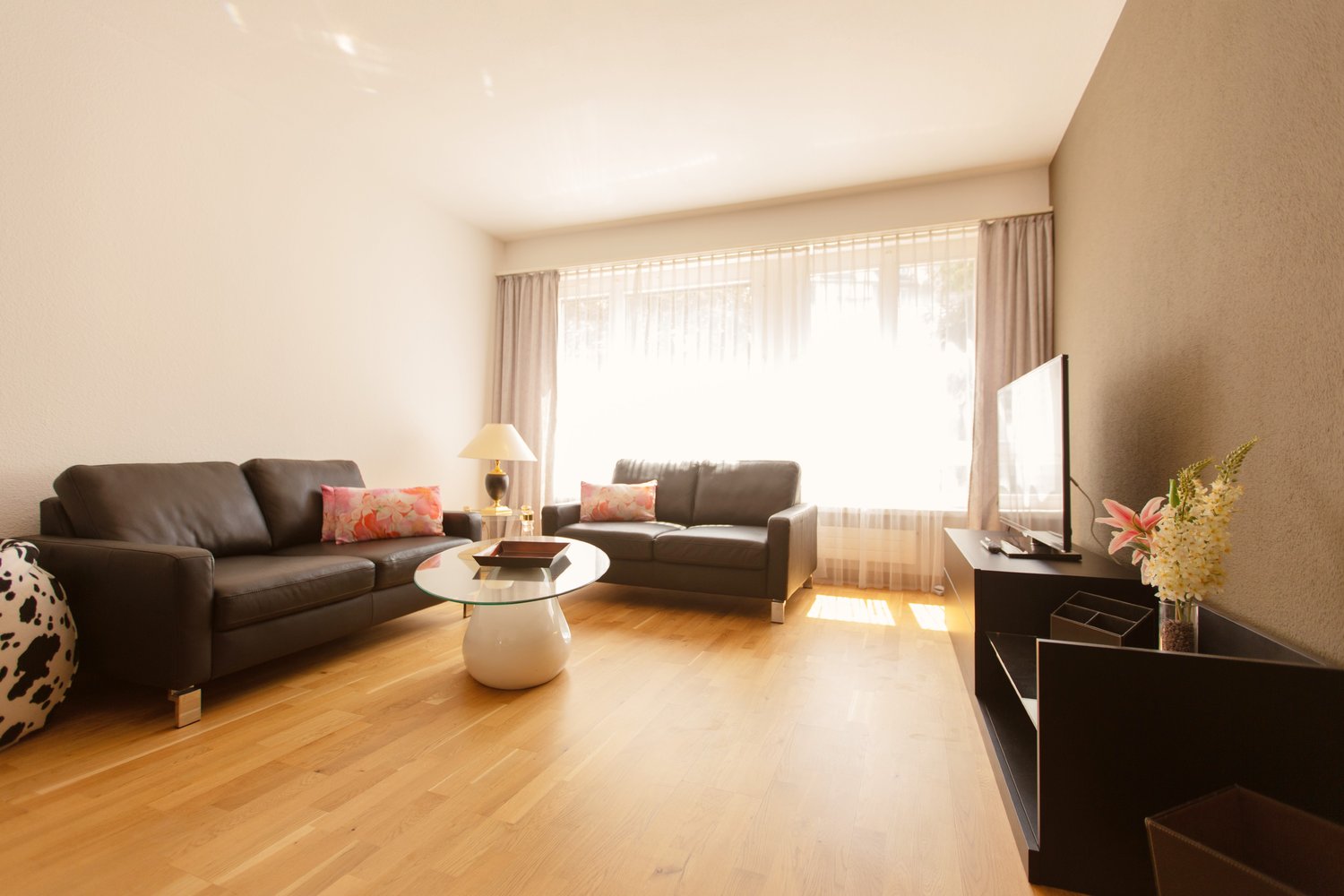 2 ½ pièces appartement meublé