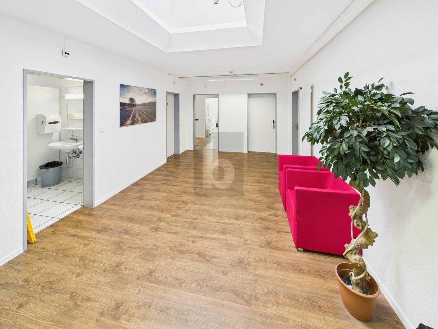 115m² office