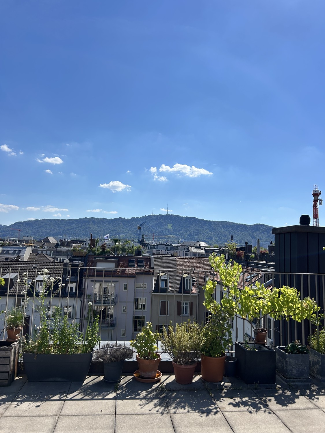 Room in a shared flat, Foto 6 von 10