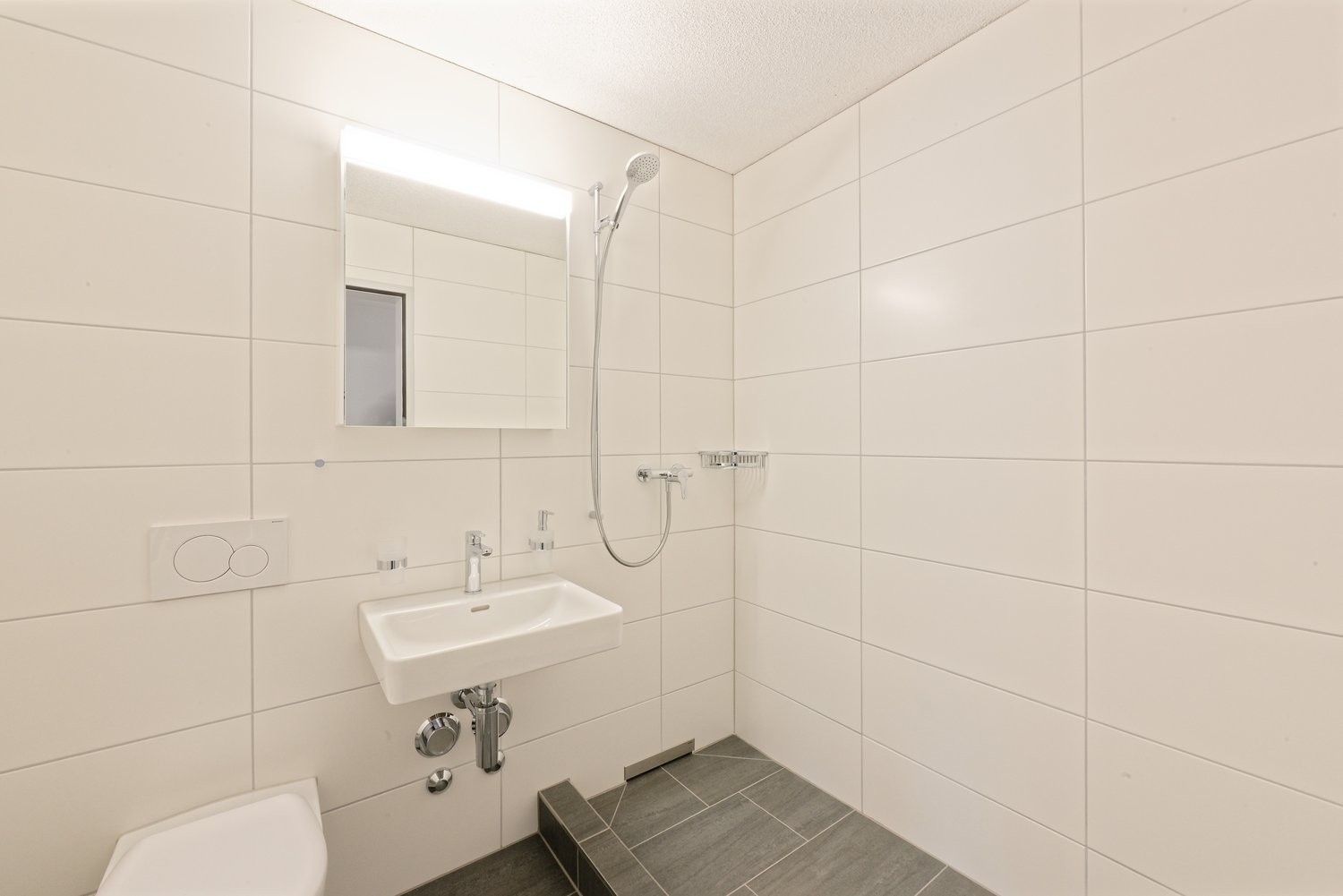 4 ½ rooms apartment (7)