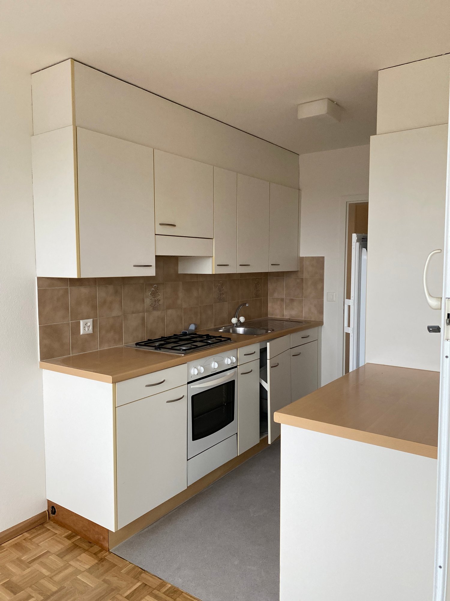 Appartement de 3 ½ pièces