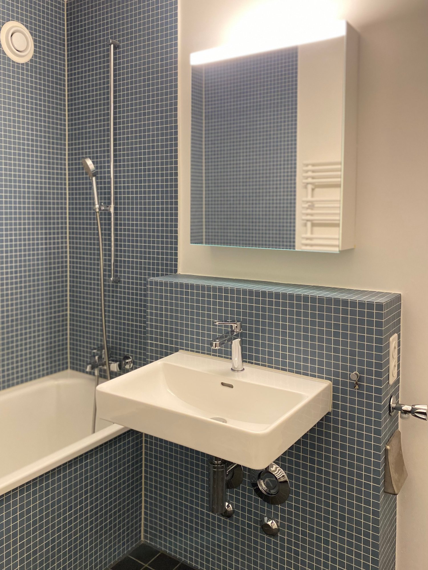 Appartement de 3 ½ pièces