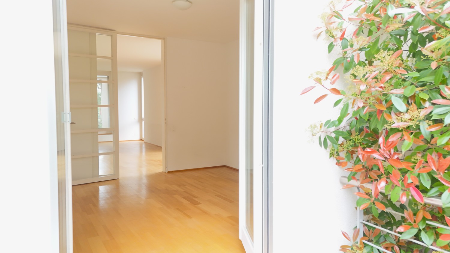 3 ½ pièces appartement