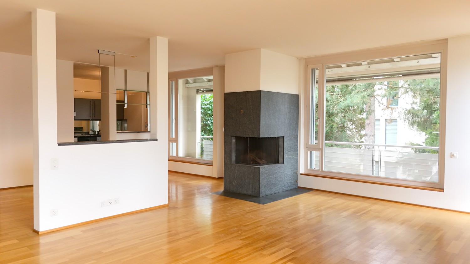 3 ½ pièces appartement