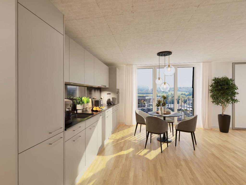 2 ½ rooms apartment