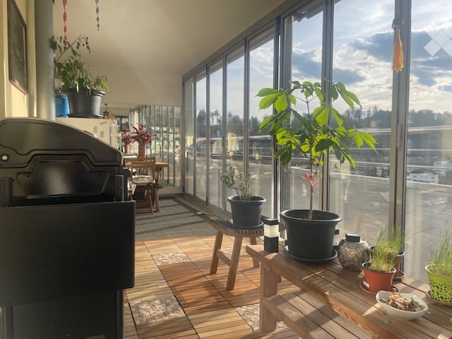 1 room single room