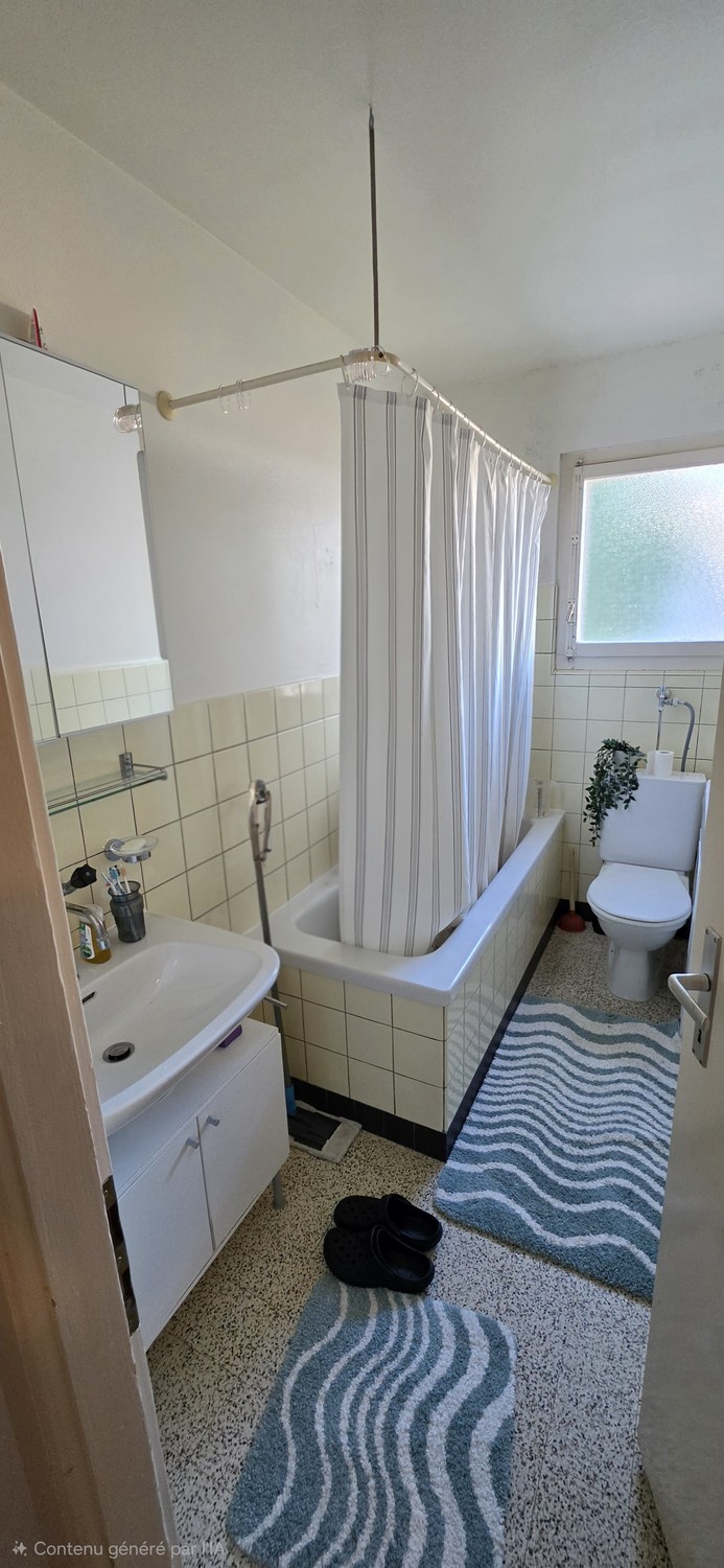 2 ½ rooms apartment