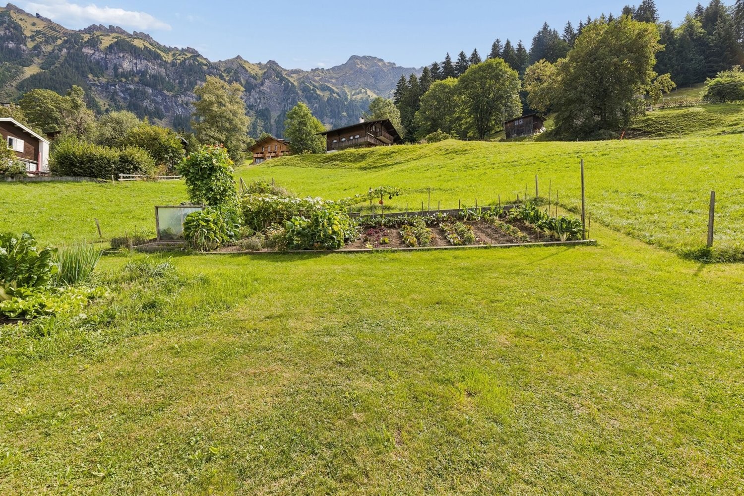 3590m² terrain à bâtir