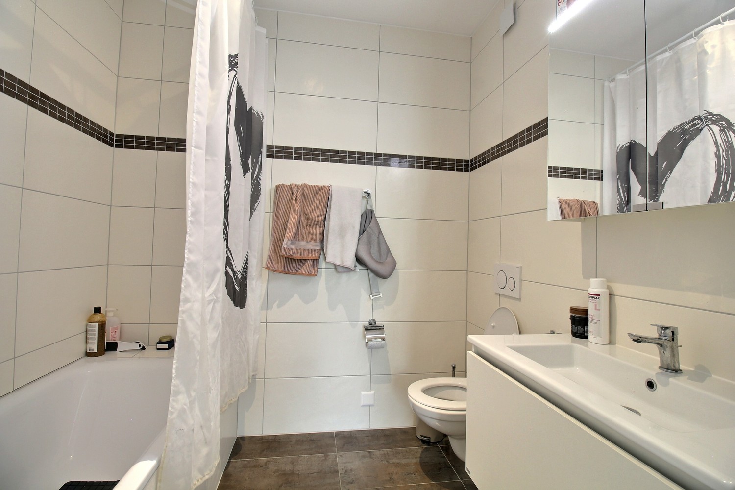 3 ½ rooms apartment (6)