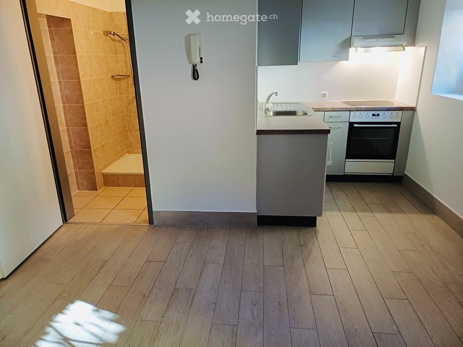 1 room apartment