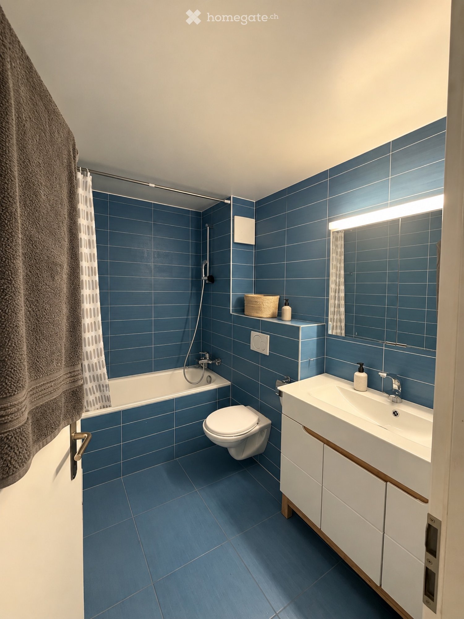 2 ½ Zimmer Wohnung