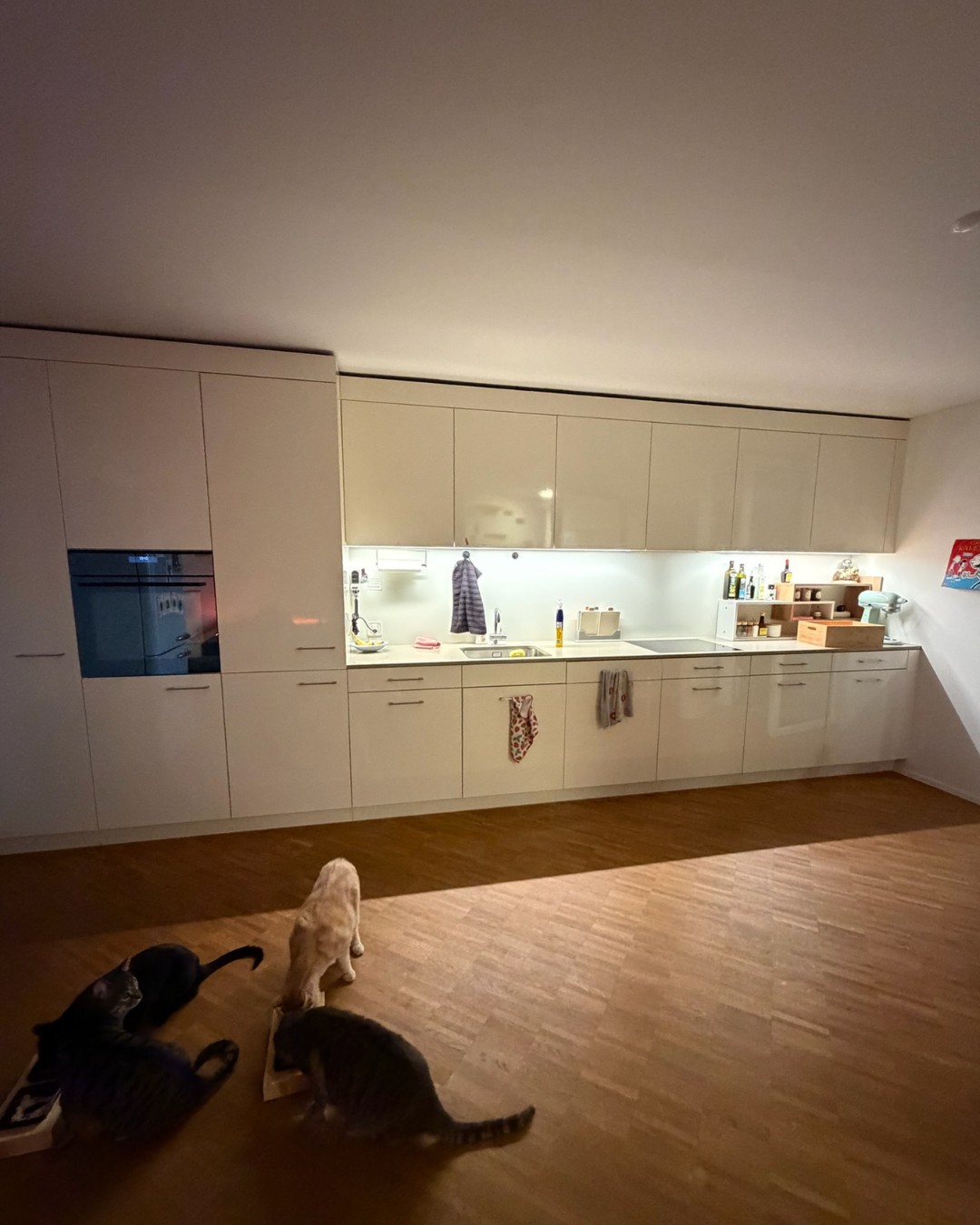 Appartamento di 3 ½ locali