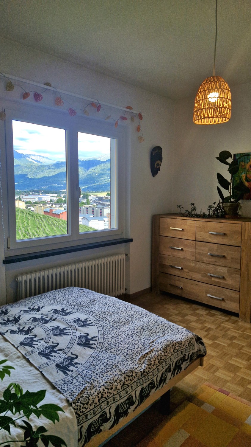 Room in a shared flat