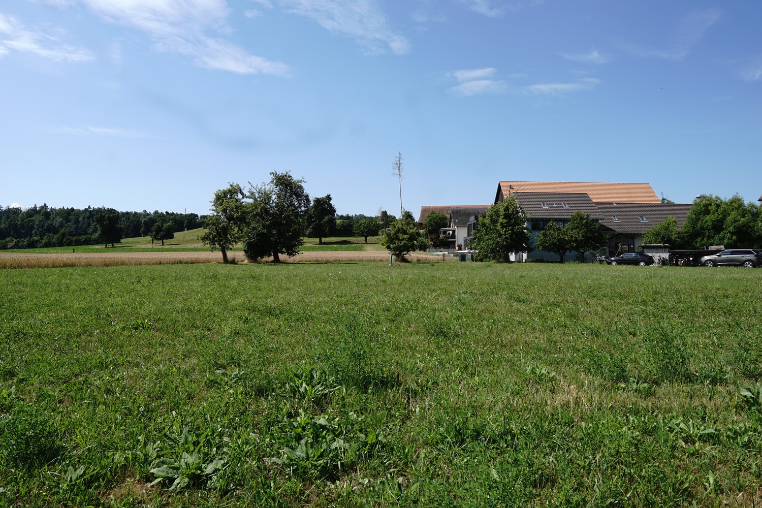 2580m² building land