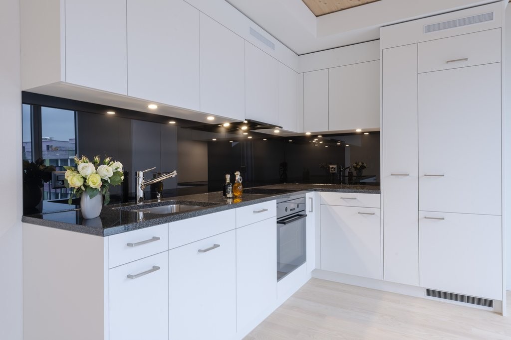 Appartement de 3 ½ pièces